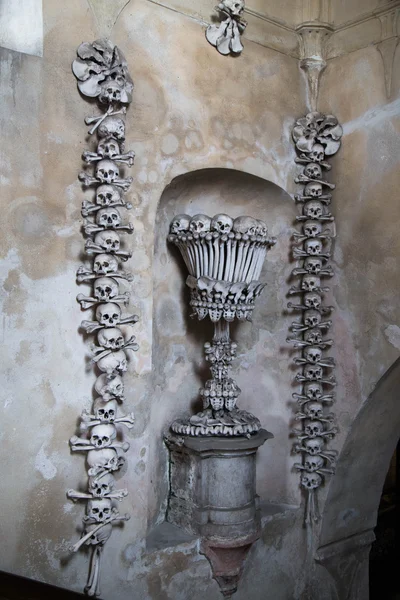 kafatasları ve kemikleri