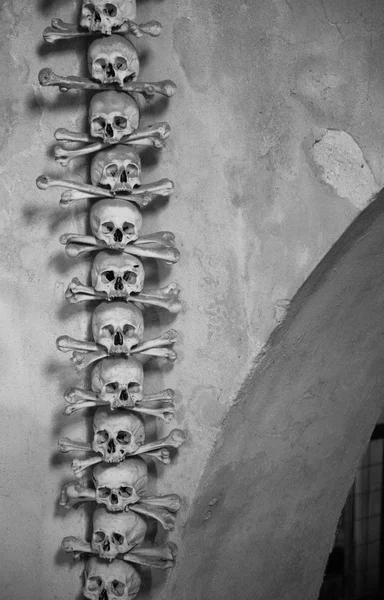 kafatasları ve kemikleri