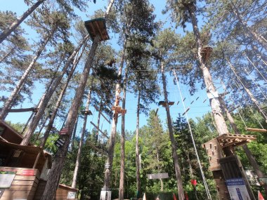 Fransa ormanındaki halat parkı, Nice yakınlarında.