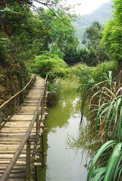 Rickety Wooden Bridge Lush Tropical Jungle Swamp Rural Southeast Asia — Stock Photo, Image