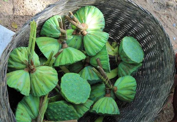 Basket of lotus pods for sale in a Cambodian market — Stock Photo, Image