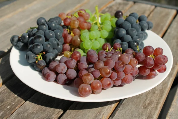 güneşli bir beyaz bir plaka üzerinde kırmızı, mor ve Yeşil üzüm