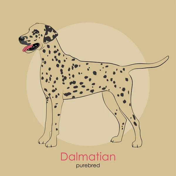 Race de chien Dalmatien — Image vectorielle