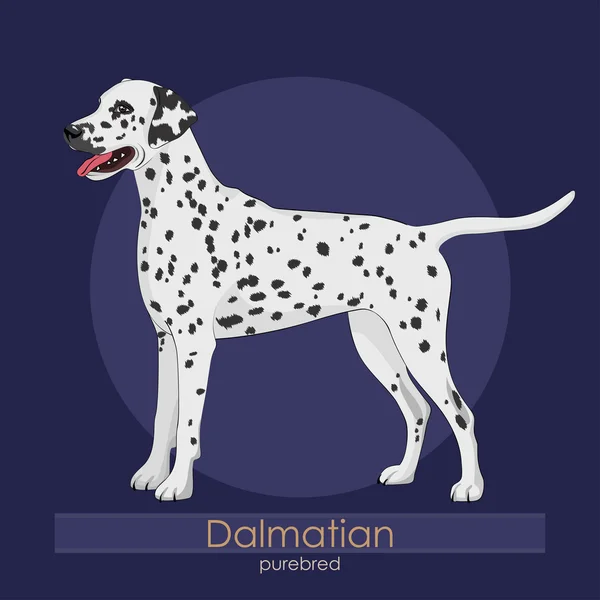 Race de chien Dalmatien — Image vectorielle