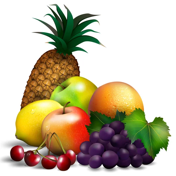 Frutta a guscio 3 — Vettoriale Stock