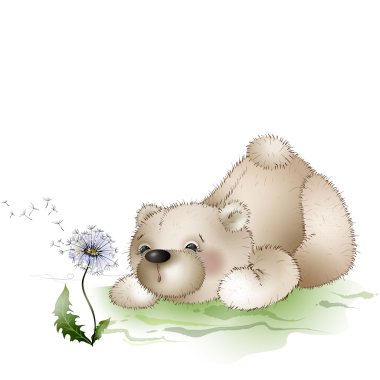 ayı darbeler bir karahindiba üzerinde