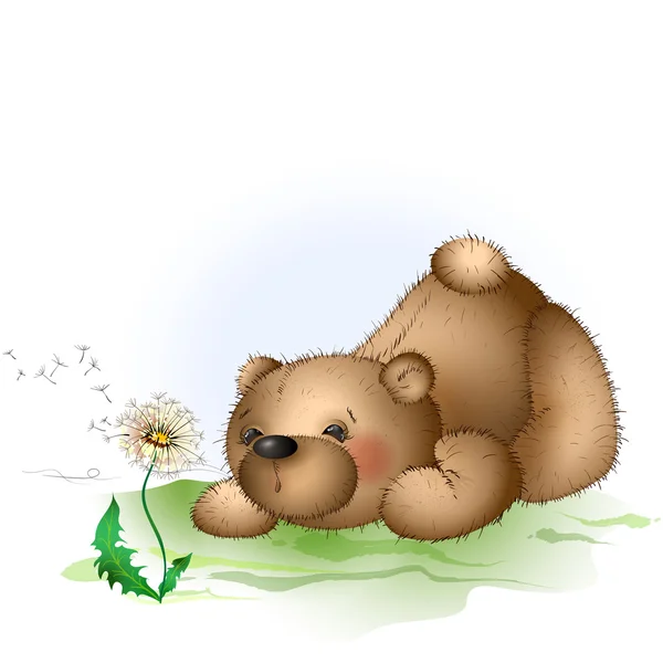 Teddy bear and dandelion 2 — Stock Vector