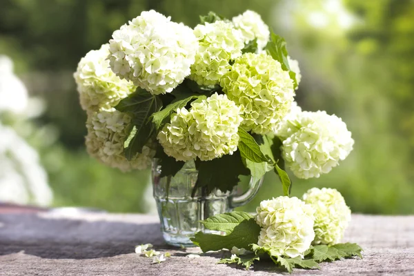 Un ramo de hermosas flores amarillas contra un jardín verde —  Fotos de Stock