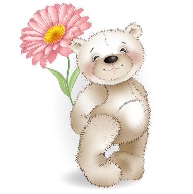 Oyuncak ayı ve beyaz zemin üzerine kırmızı papatya