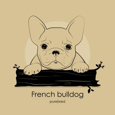 köpek doğurmak Fransız buldozer