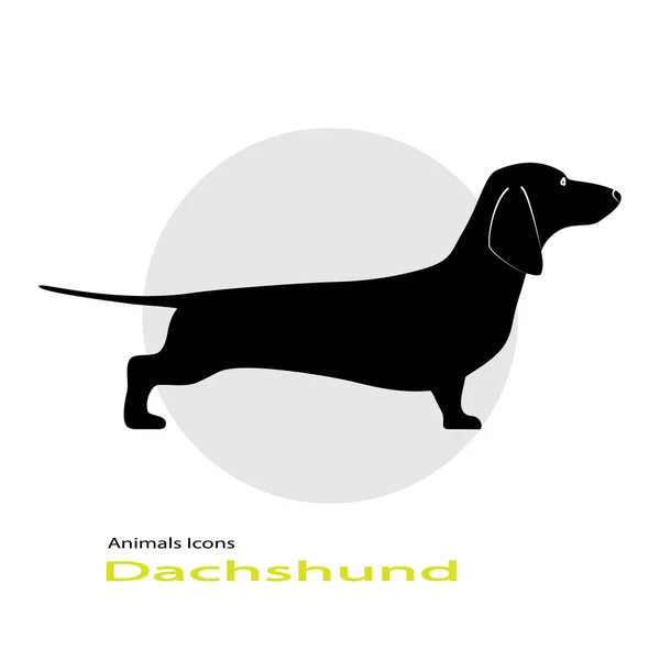 La raza de perro bulldog francés — Archivo Imágenes Vectoriales