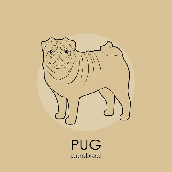 개 품종 pug — 스톡 벡터