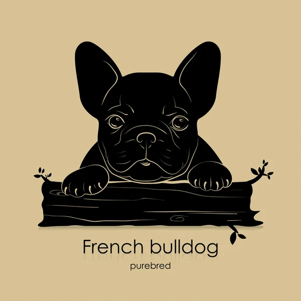 La race de chien Bouledogue français — Image vectorielle