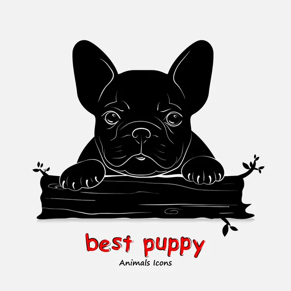 Chien chiot race Bouledogue français — Image vectorielle