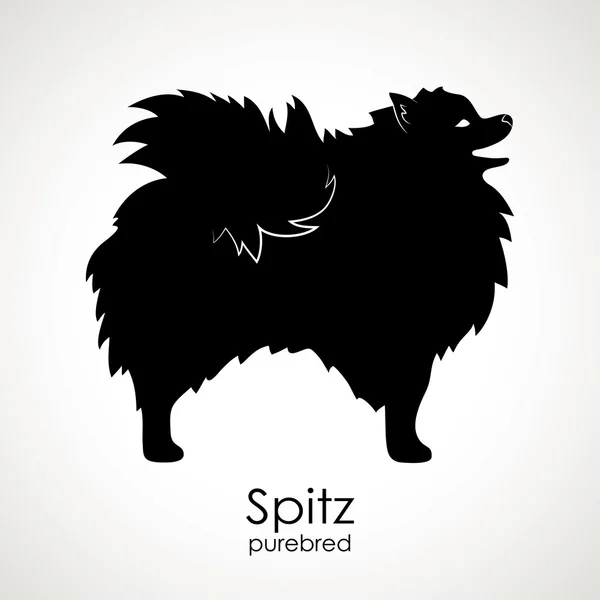 Dog breeds Spitz — Stock Vector