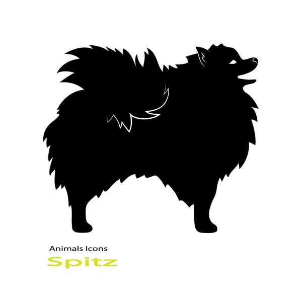 Races de chiens Spitz — Image vectorielle