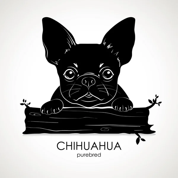 Cachorro de raza de perro Chihuahua — Archivo Imágenes Vectoriales