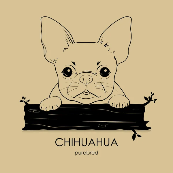 Щеня собаку породи Чихуахуа — стоковий вектор