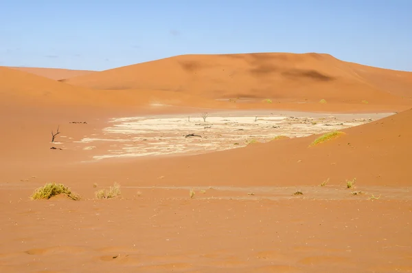 Dünen von sossusvlei oder deadvlei — Stockfoto