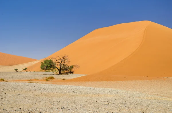 Dune 45 w Namib — Zdjęcie stockowe