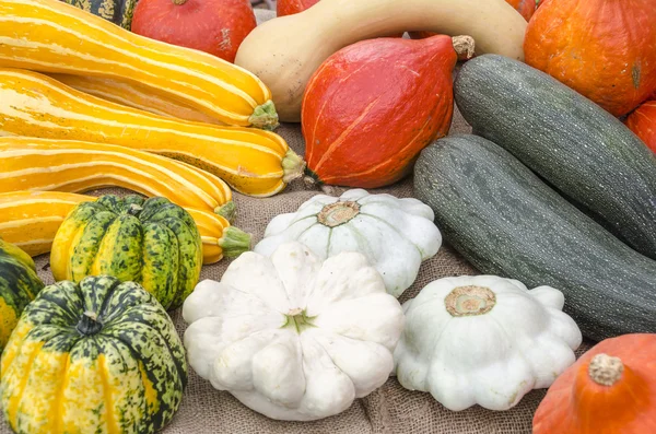 Variety of pumpkins — Stock Photo, Image