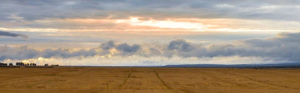 Panorama Olgunlaşmış Buğday Tarlası Gün Batımı Işığı Ile Gökyüzü Sonbahar — Stok fotoğraf
