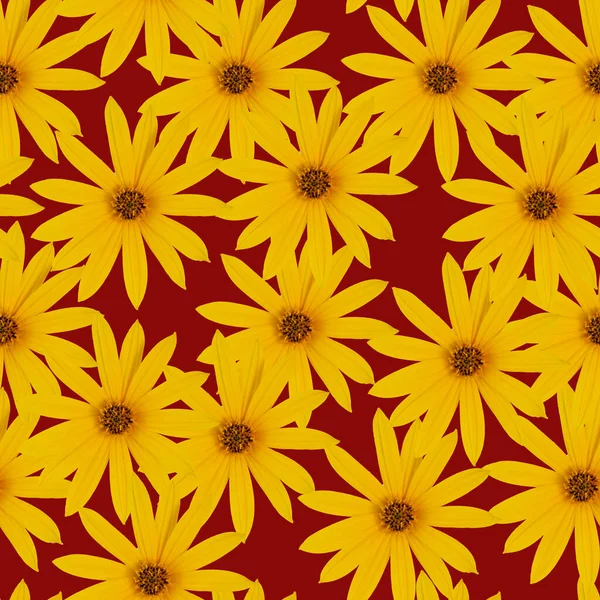 Padrão Flores Sem Costura Flores Amarelas Alaranjadas Brilhantes Fundo Vermelho — Fotografia de Stock