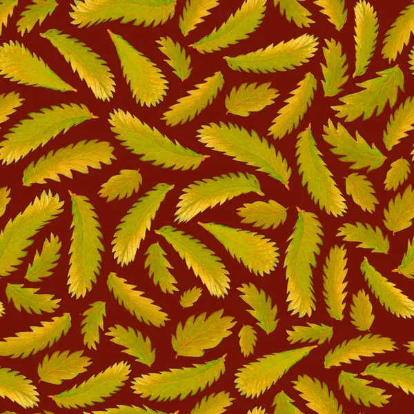 Płynny Wzór Żółte Sylwetki Egzotycznych Liści Paproci Ciemnoczerwonym Tle — Zdjęcie stockowe