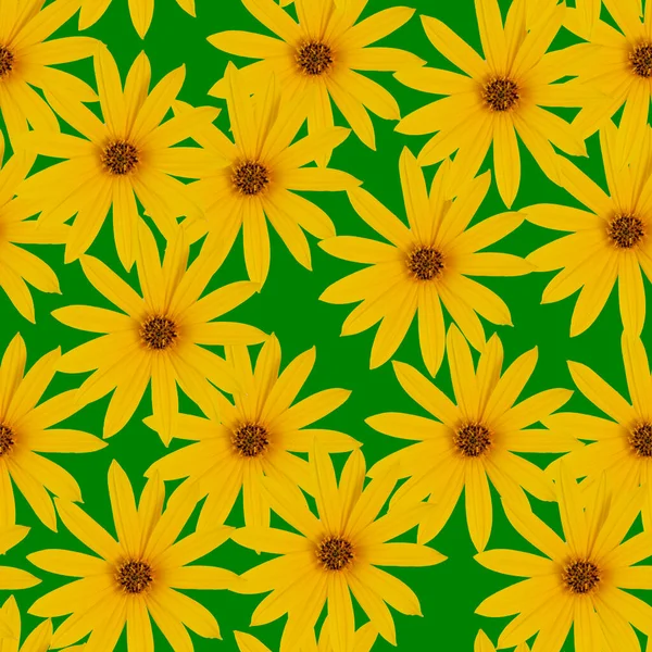 Bloemensamenstelling Naadloze Bloemen Patroon Heldere Gele Oranje Bloemen Een Groene — Stockfoto