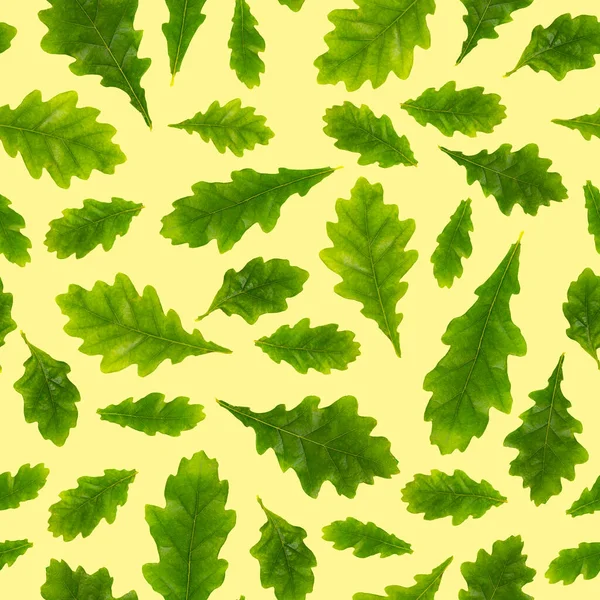 Seamless pattern. Composition of oak leaves of different size on a light yellow background, isolate,  close-up. Top view, flat lay.