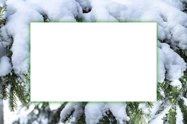 Kreativt Lager För Text Bakgrund Snöhätta Grangrenar Begreppet Vinter Och — Stockfoto