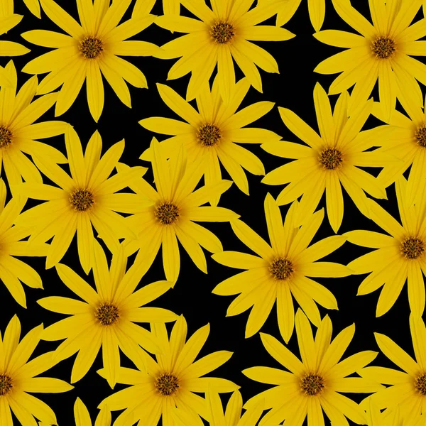Flores Amarelas Alaranjadas Brilhantes Fundo Preto Padrão Flores Sem Costura — Fotografia de Stock