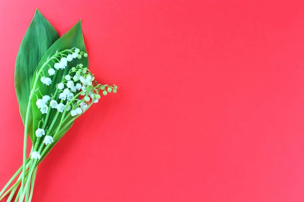 Flower composition. Lily of the valley flowers with green leaves on a bright pink background. The concept of spring and romantic mood. Top view, flat lay, place for text, copy space.