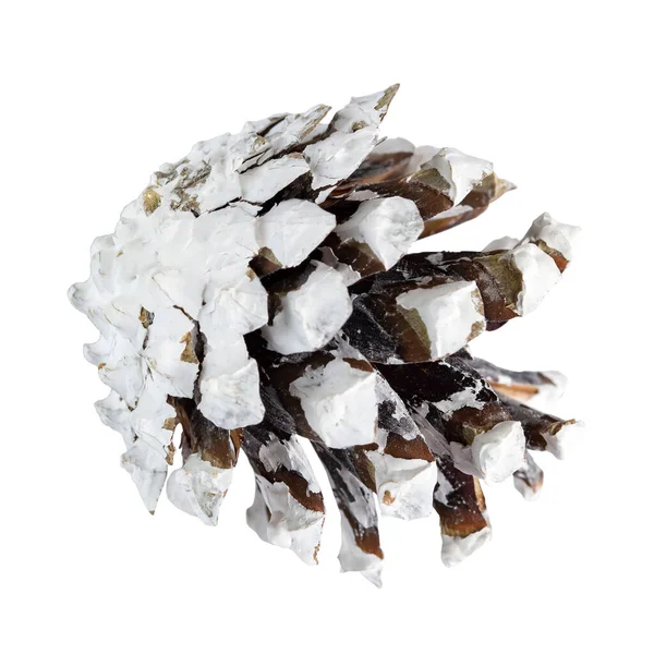 Cone Pinheiro Decorado Para Natal Close Isolar Branco — Fotografia de Stock