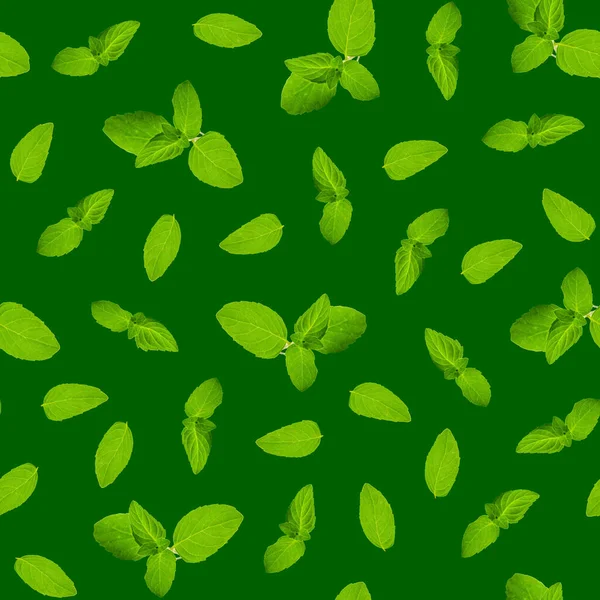 濃い緑色の背景にミントのシームレスなパターン 葉や小枝 トップビュー フラットレイアウト — ストック写真