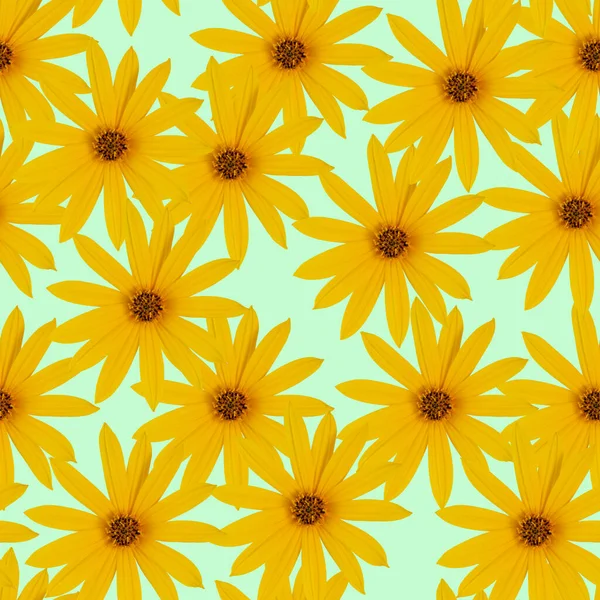 Wzór Bezszwowych Kwiatów Skład Kwiatów Jasne Żółte Lub Pomarańczowe Kwiaty — Zdjęcie stockowe
