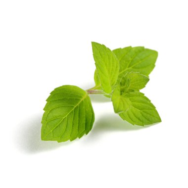 Beyaz arkaplandaki nane yapraklarını ayır.