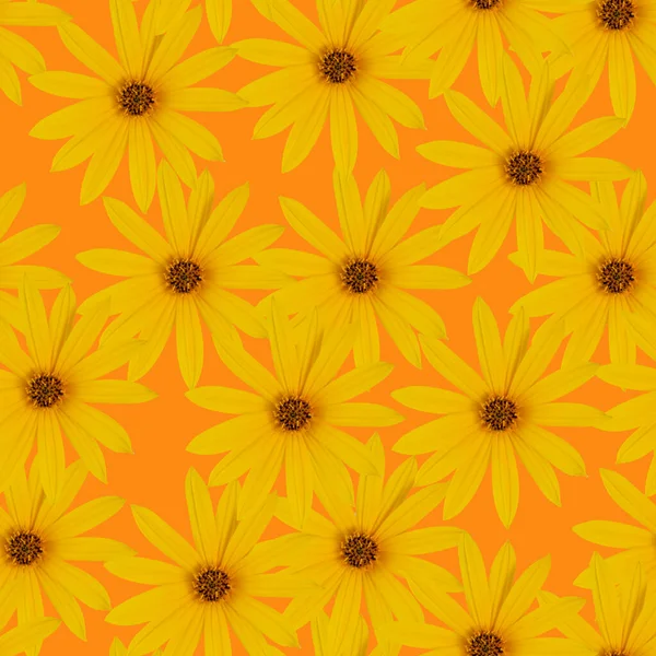 无缝花图案 橙色背景上的亮黄色或浅橙色花 — 图库照片