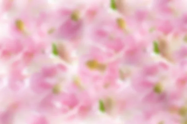 Abstract Blurred Pink Background Spring Concept Flyer Banner — Stock Fotó