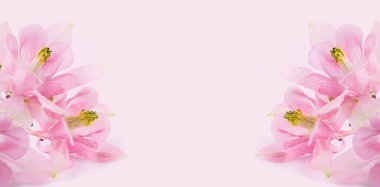 Pembe çiçeklerin bileşimi. Broşür ya da afiş konsepti Sevgililer Günü, Anneler Günü, Bahar Tatili, kopyalama alanı.