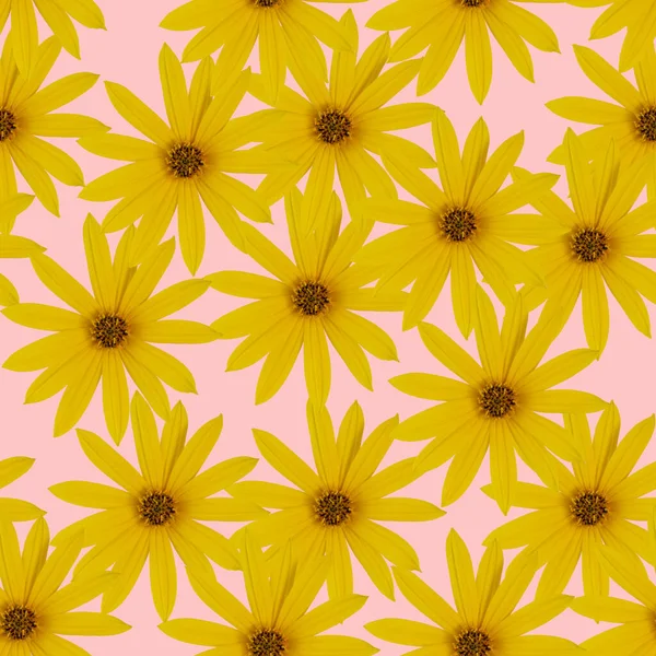 Bright yellow or light orange flowers on a pink background. Seamless flowers pattern.