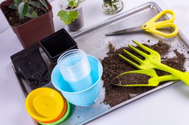 Ev işleri ya da çiçekçilik, yaşam tarzı için bir takım alet ve aksesuarlar..