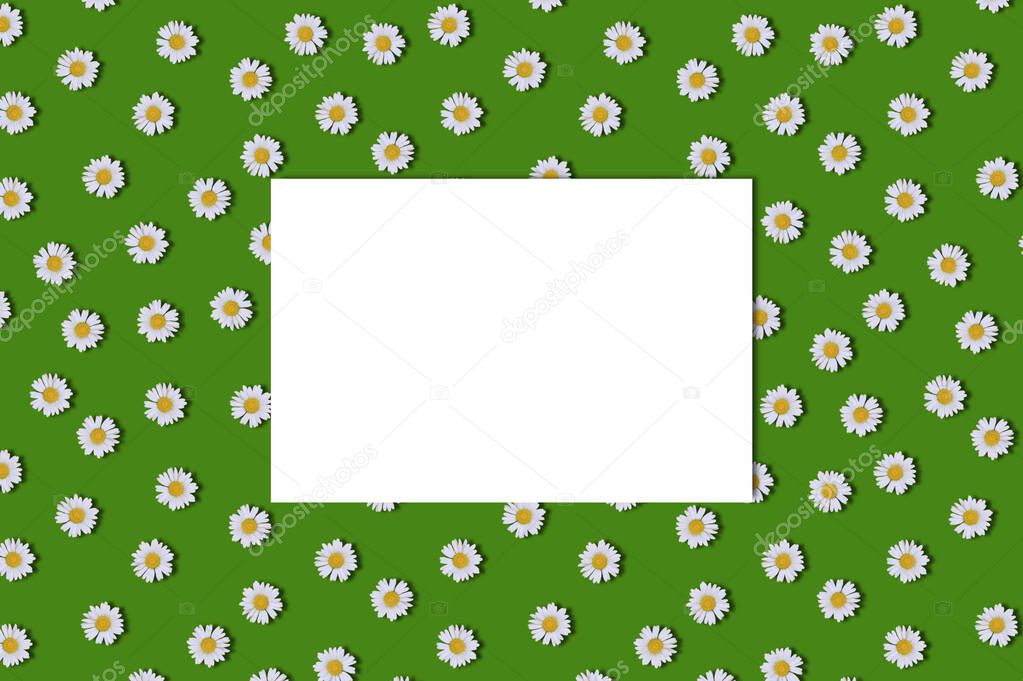 Mock up greeting card on a flowers pattern background of daisies on a green background, top view, copy space.