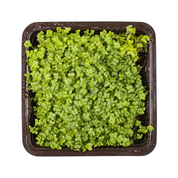 Mikroyeşillikli konteynır, üst görüş, beyaza izole edilmiş. Vejetaryen ya da yağsız menü, salata malzemeleri.