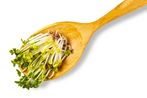 Tahta kaşıkta yemek için mikroçim filizleri, beyazın üzerinde izole edilmiş. Vejetaryen ya da yağsız menü, salata malzemeleri.