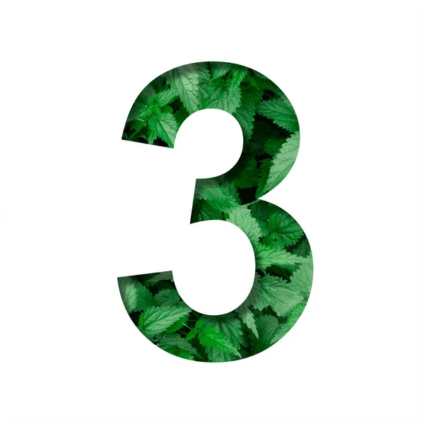 Шрифт Листьев Цифр Три Три Вырезанный Бумаги Фоне Натуральной Зеленой — стоковое фото