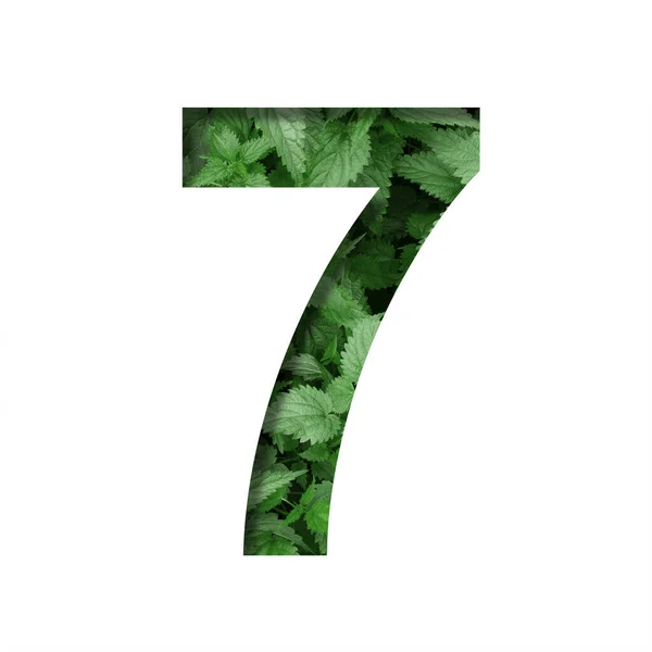 Yapraktan Yapılmış Yazı Tipi Yedi Haneli Yedi Haneli Doğal Yeşil — Stok fotoğraf