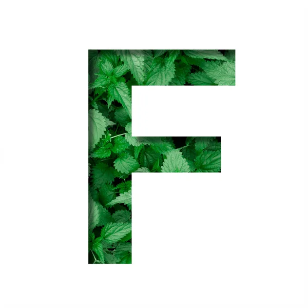 Font Made Leaves Letter Cut Out Paper Background Natural Green — Stock Photo, Image