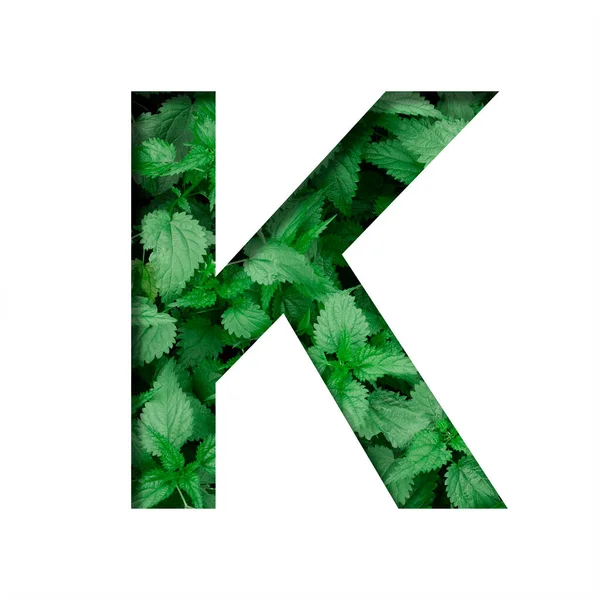 緑のネットワークを背景に 文字Kで作られたフォントが紙から切り取られています 新鮮な若い自然葉の体積地球の日フォントセット — ストック写真