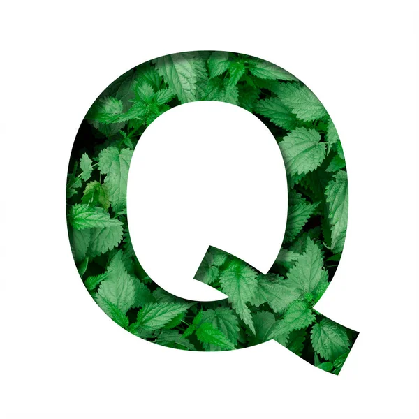 文字Qで作られたフォントは 天然の緑色のネットワークを背景に紙から切り取られています 新鮮な若い自然葉の体積地球の日フォントセット — ストック写真
